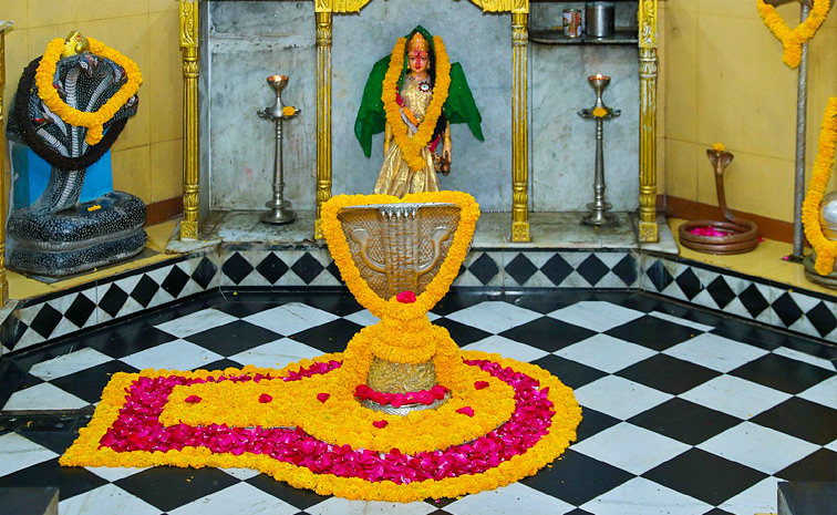 Nageshwar-Jyotirlinga.jpg 6