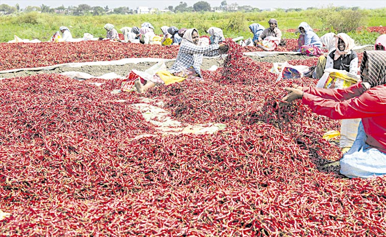 mirchi.jpg
