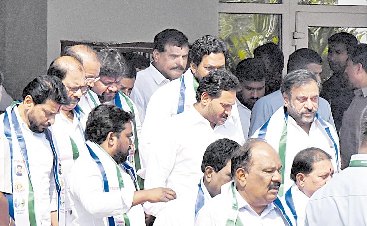 ycp.jpg