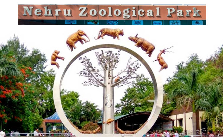 Hyderabad-Zoo-Park.jpg