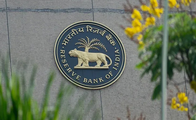 rbi01.jpg