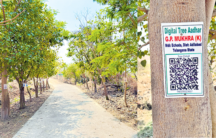 aadhar_20digital_20tees.jpg