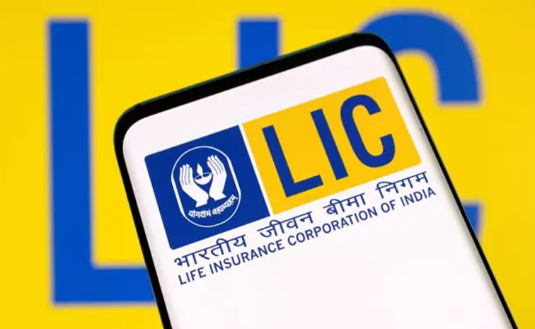 lic.jpg