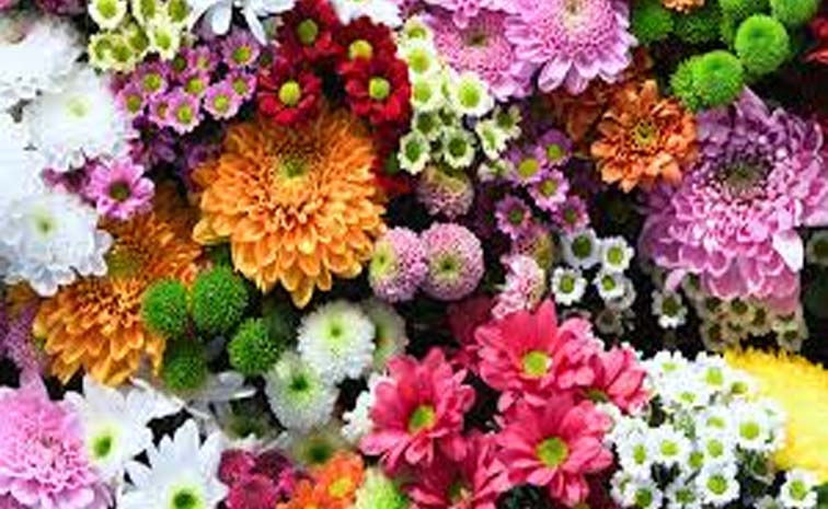 flower.jpg
