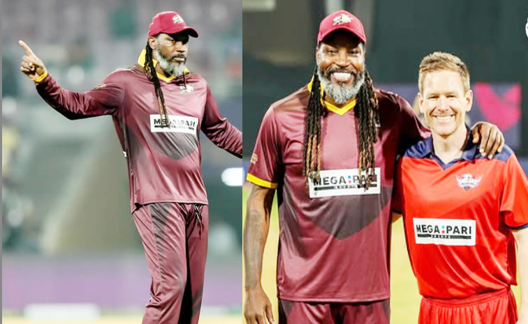 gayle.jpg