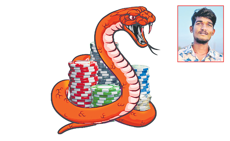 snake1.jpg