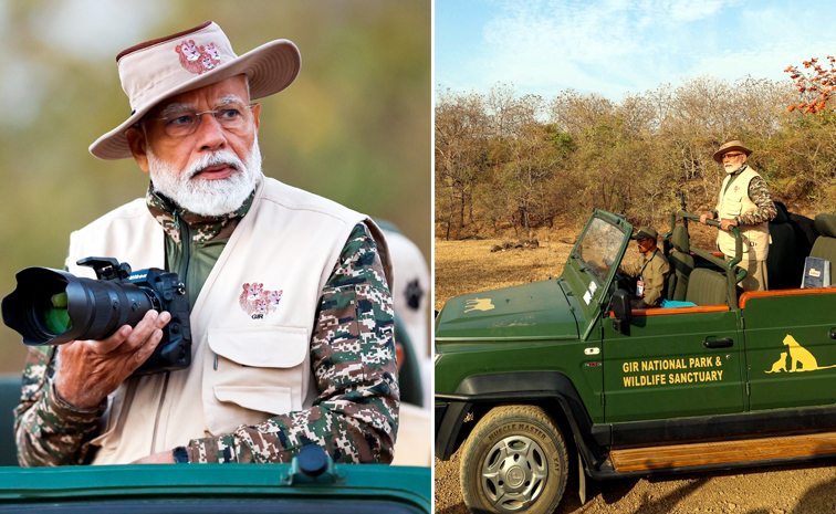 Gir-National-Park_1.jpg