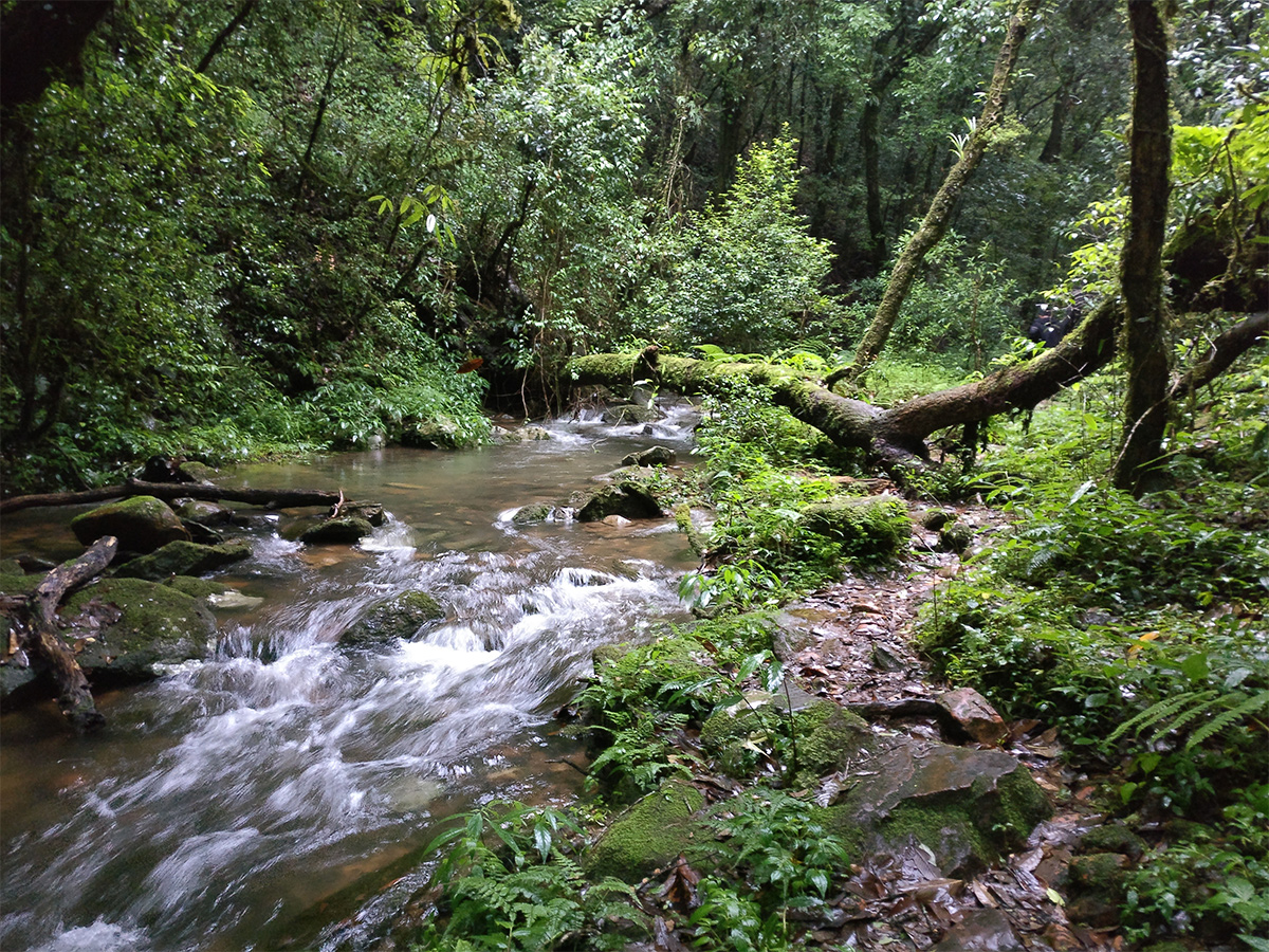 Meghalaya_20Tourism_20Places_20Photos__20_286_29.jpg 6