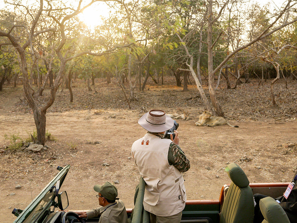 Prime_20Minister_20Narendra_20Modi_20lion_20safari_20at_20Gir_20Wildlife_20Sanctuary_1.jpg 1