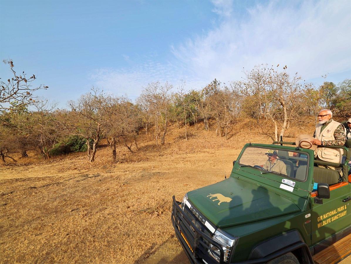 Prime_20Minister_20Narendra_20Modi_20lion_20safari_20at_20Gir_20Wildlife_20Sanctuary_13.jpg 13