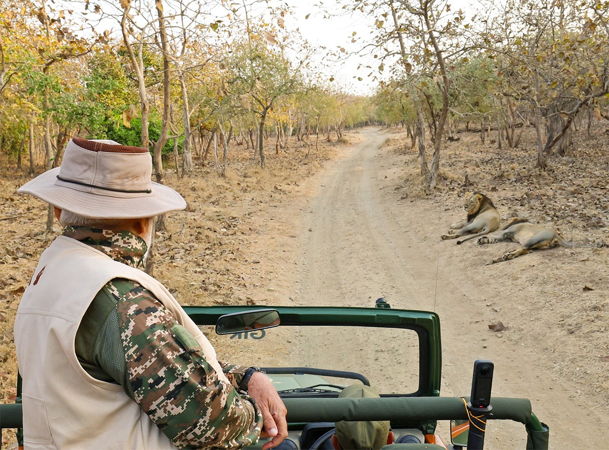 Prime_20Minister_20Narendra_20Modi_20lion_20safari_20at_20Gir_20Wildlife_20Sanctuary_15.jpg 15