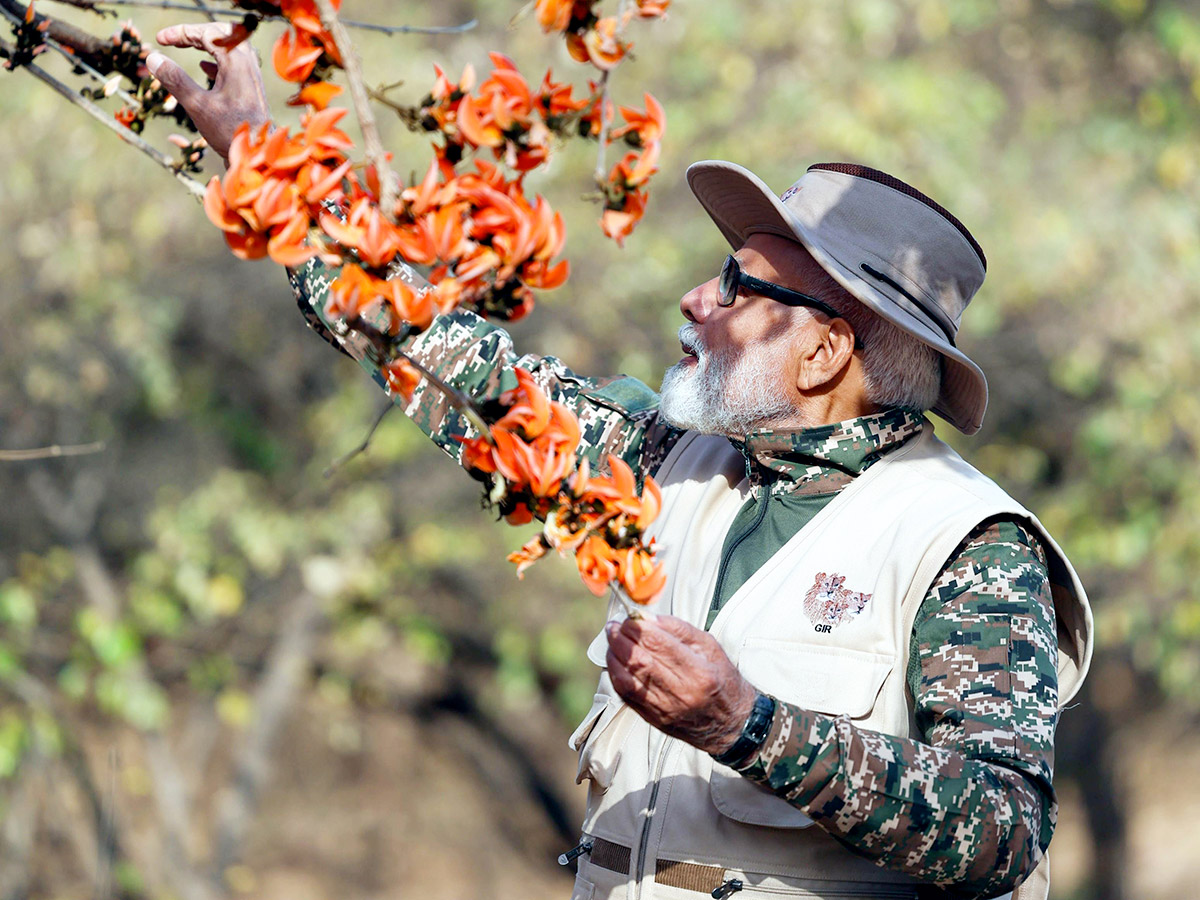 Prime_20Minister_20Narendra_20Modi_20lion_20safari_20at_20Gir_20Wildlife_20Sanctuary_21.jpg 20