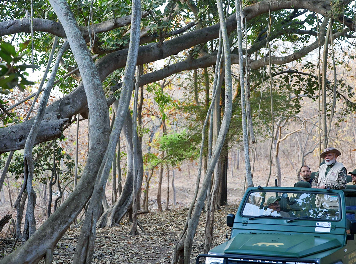 Prime_20Minister_20Narendra_20Modi_20lion_20safari_20at_20Gir_20Wildlife_20Sanctuary_6.jpg 6