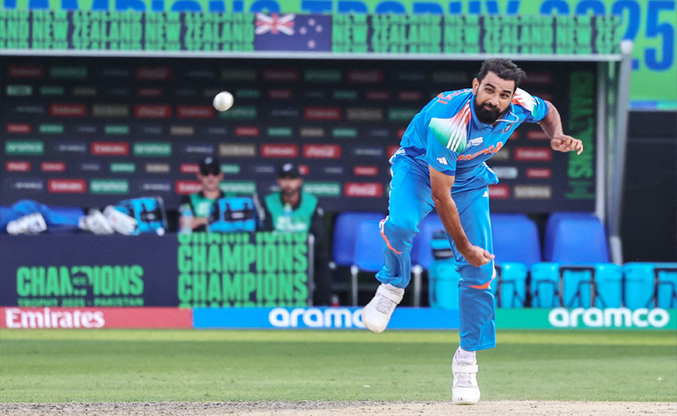 shami3.jpg