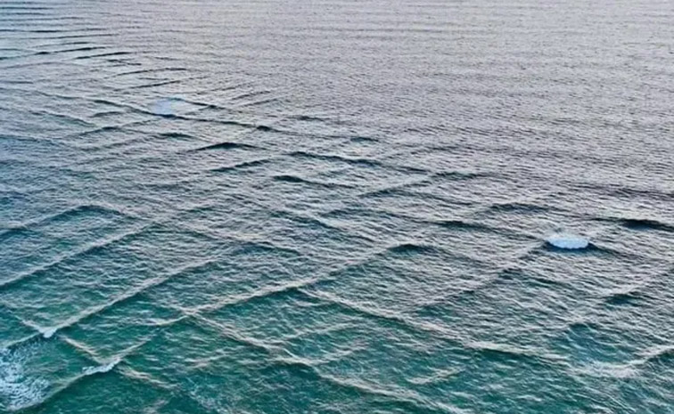 waves.jpg