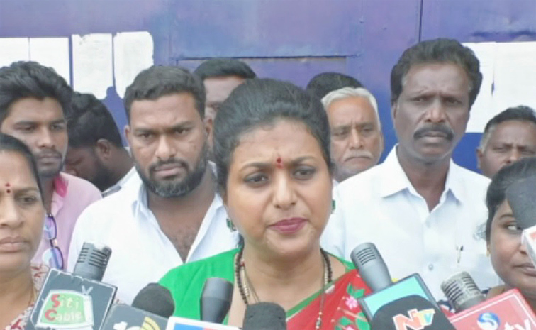 Roja1.jpg