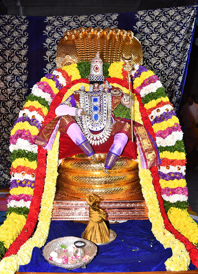 Yadagirigutta_20Brahmotsavam_202025_20Photos__20_2813_29.jpg 13