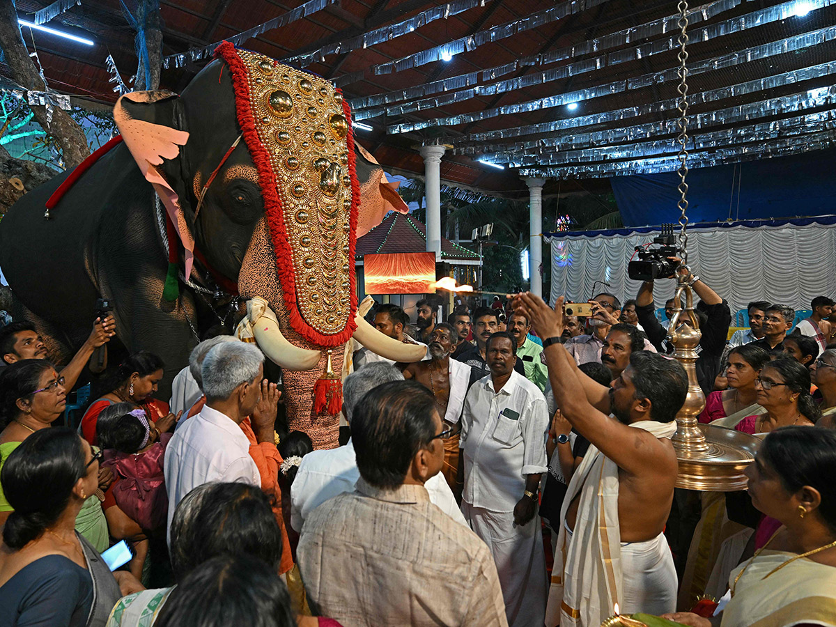 robotic_20elephant_20is_20pictured_20at_20a_20workshop_20in_20Thrissur_20in_20Kerala__20_2815_29.jpg 15