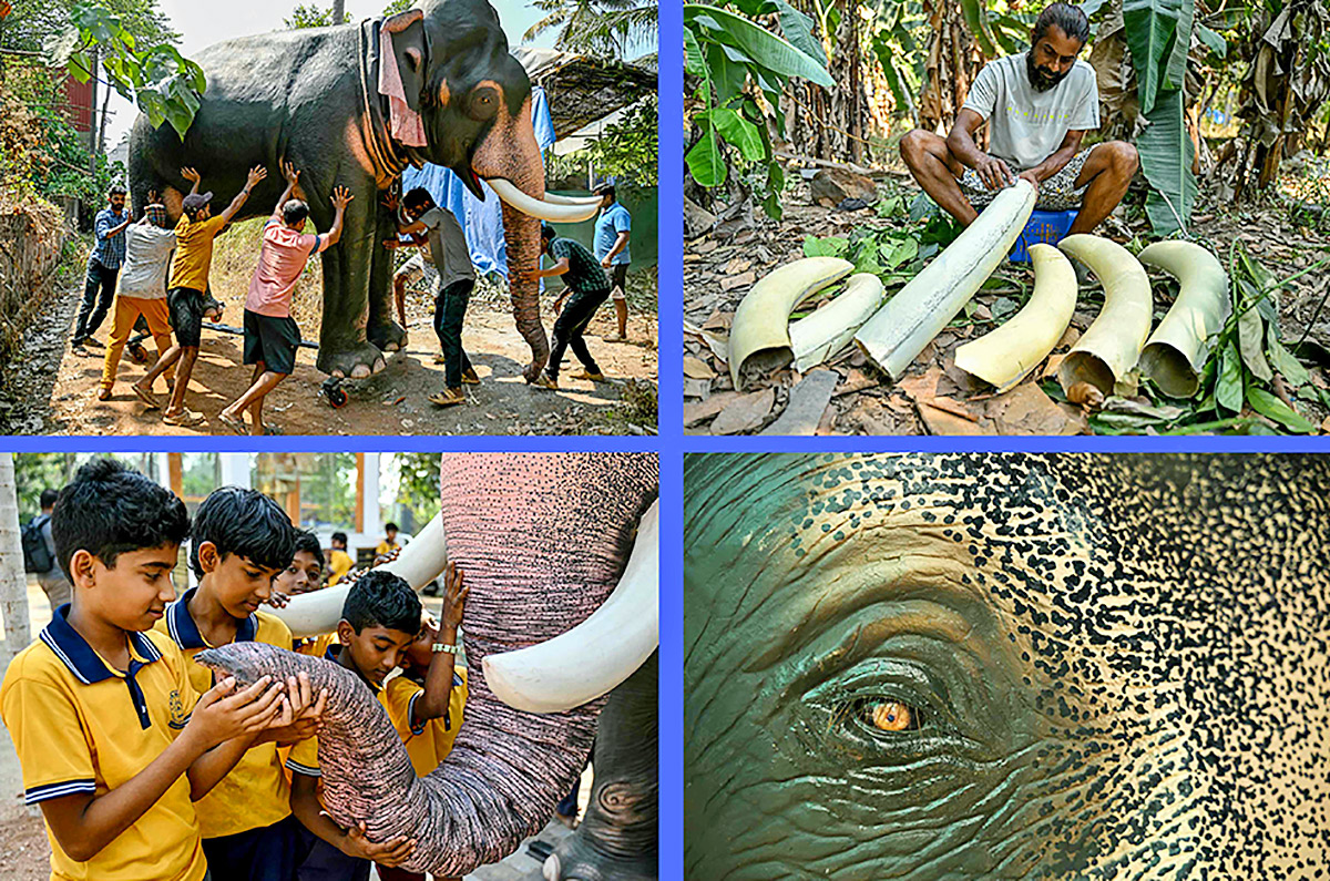 robotic_20elephant_20is_20pictured_20at_20a_20workshop_20in_20Thrissur_20in_20Kerala__20_2818_29.jpg 18