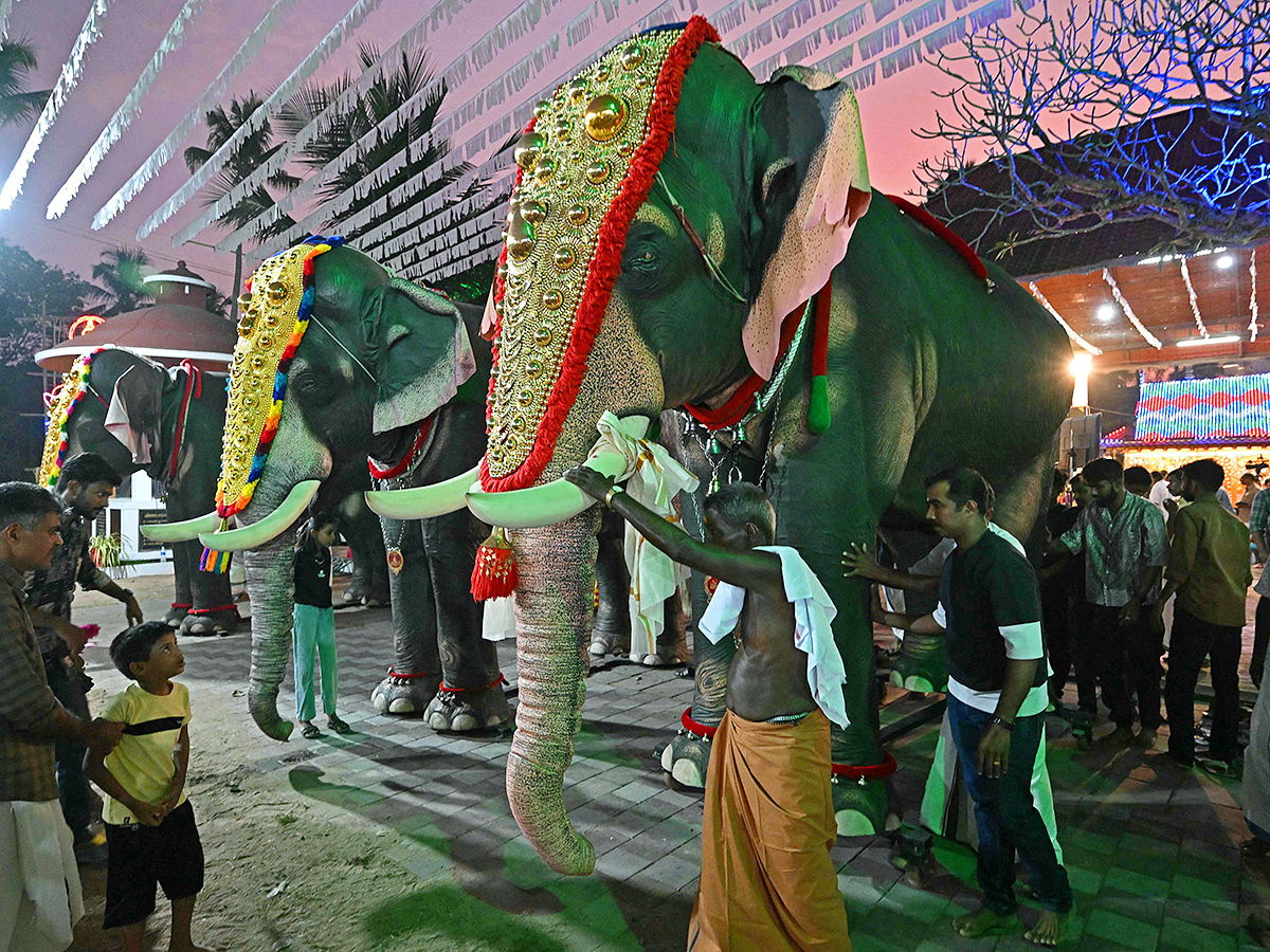 robotic_20elephant_20is_20pictured_20at_20a_20workshop_20in_20Thrissur_20in_20Kerala__20_281_29.jpg 1