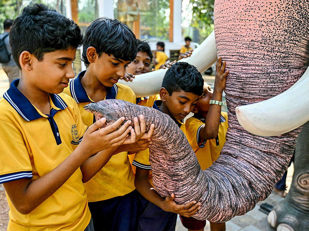 robotic_20elephant_20is_20pictured_20at_20a_20workshop_20in_20Thrissur_20in_20Kerala__20_283_29.jpg 3