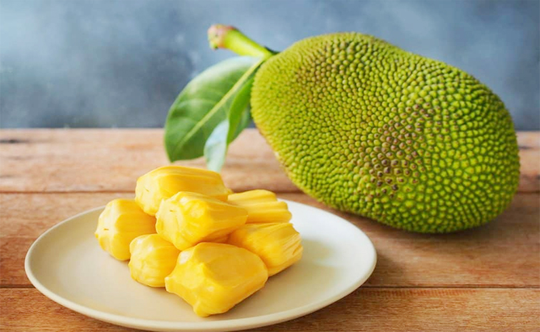jackfruit_5D.jpg
