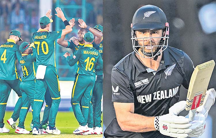 nz.jpg