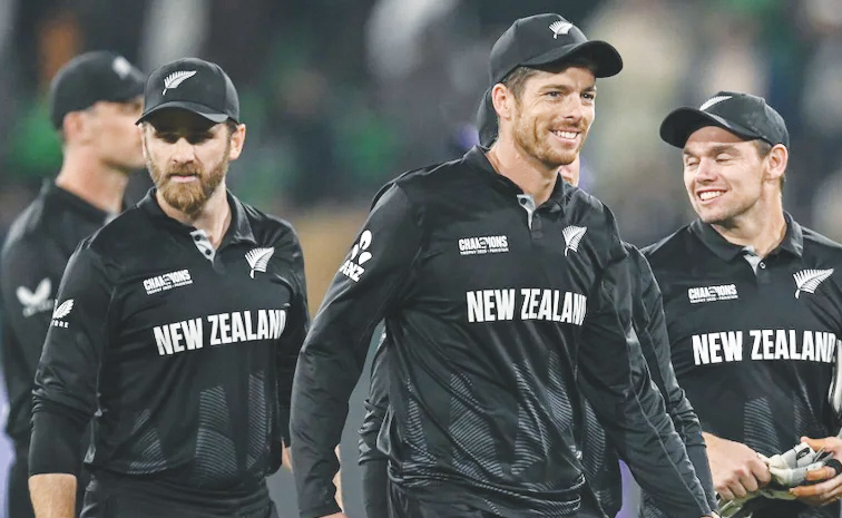 nz.jpg