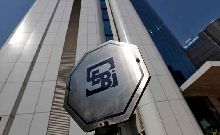 sebi-.jpg