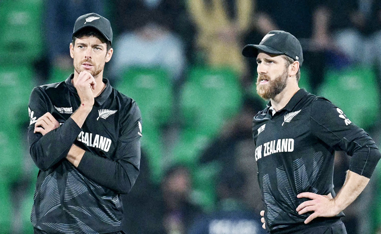 indvsnz.jpg