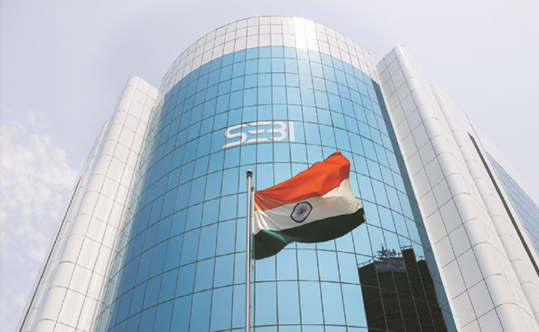 sebi.jpg
