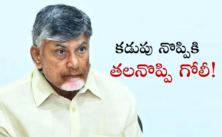 Chandrababu-Delimitation-Stand.jpg