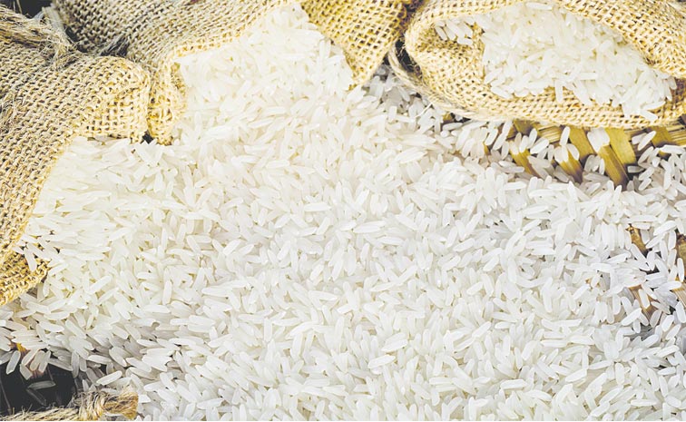 RICE.jpg