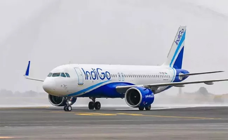 indigo01.jpg