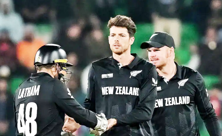 santner_4.jpg