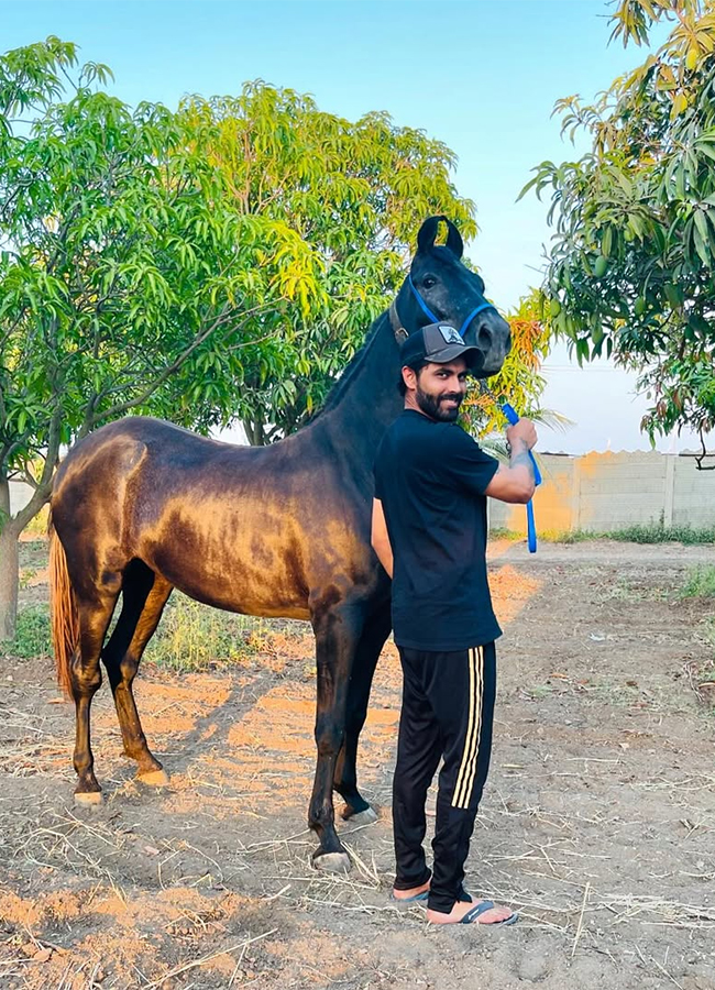 Ravindra_20Jadeja_20Rides_20Horse_20at_20his_20Farm_20House__20_284_29.jpg 4