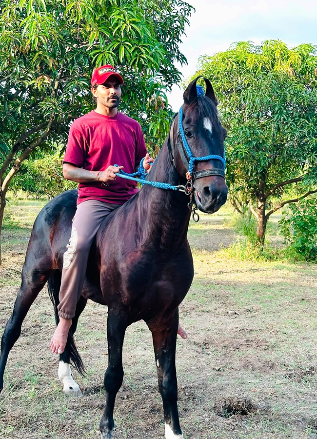 Ravindra_20Jadeja_20Rides_20Horse_20at_20his_20Farm_20House__20_288_29.jpg 8