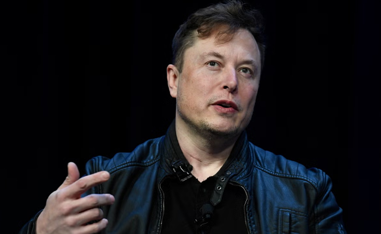 elon-musk-shares-down.jpg