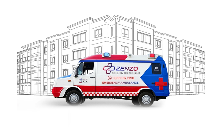 zenzo.jpg