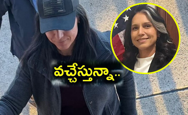 Tulsi-Gabbard.jpg