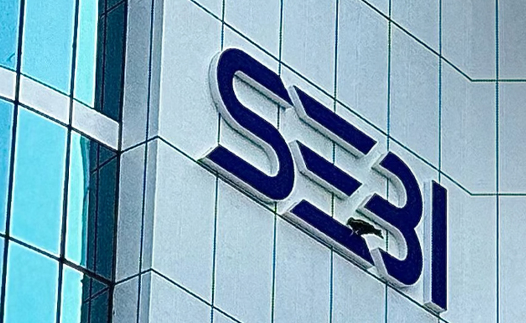sebi.jpg