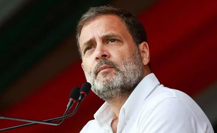 Rahul-Gandhi-Attacks-Bjp.jpg