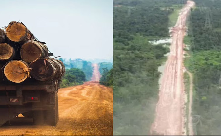 amezon.jpg