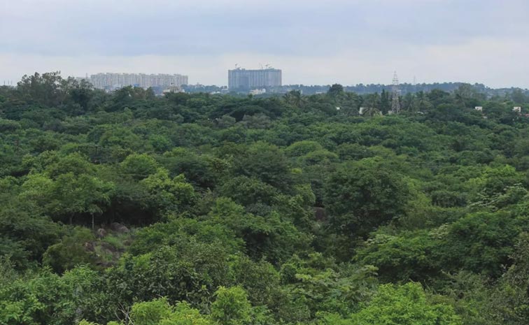 Kancha-Gachibowli.jpg