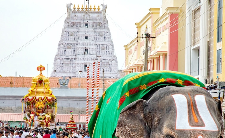 Tirumala_Flying_Zone.jpg