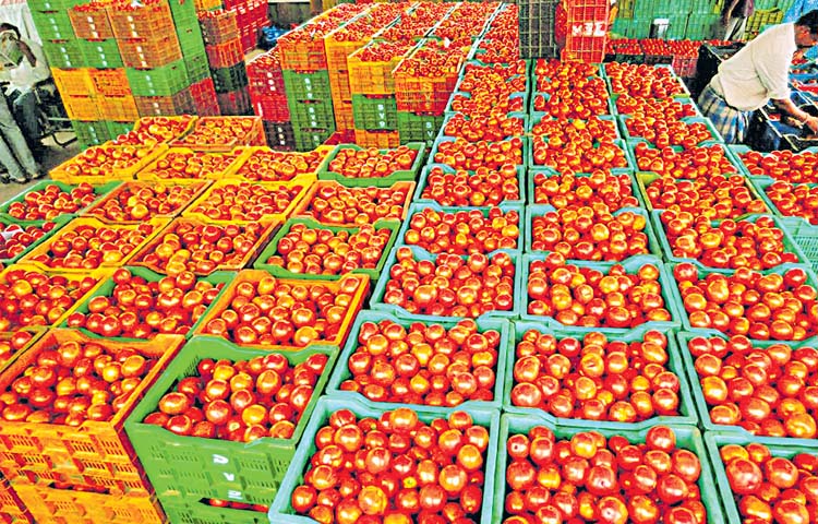 tomato.jpg
