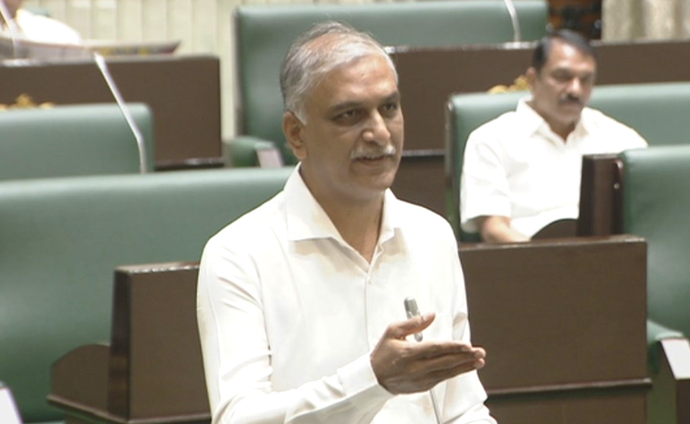 Harish-Rao.jpg