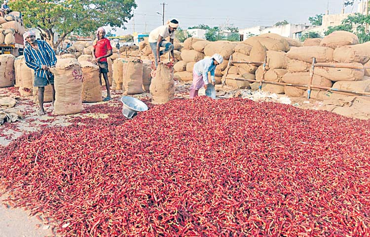 mirchi.jpg