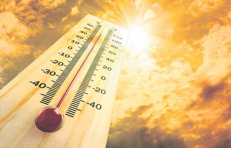 summer.jpg