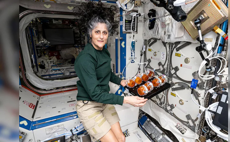 Sunita_20Williams.jpg